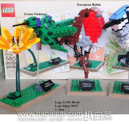 销量第一，LEGO 乐高 21301 鸟类模型 现售价$44.95