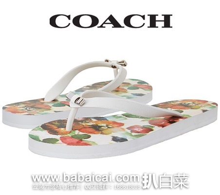 6pm：COACH蔻驰Amel大C纹女士人字拖 特价$19.99