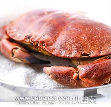中粮我买网：苏格兰 野生黄金蟹 400g-600g/只  现售价￥69，满￥199-100凑单后折￥35.7/只