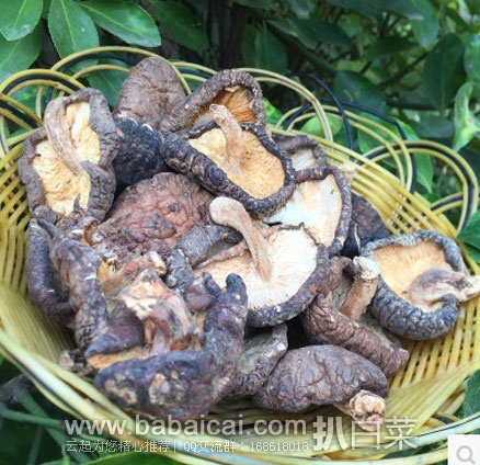 淘宝Taobao：湖北 神农架 房县 野生椴木干香菇 250g  ￥21.8 特价包邮