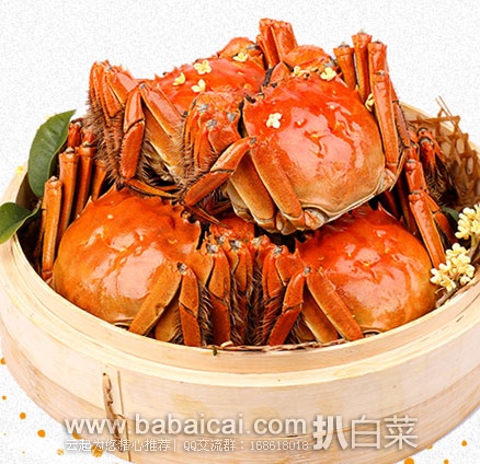 阳澄湖 冠之澄大闸蟹礼券 998型 10只装（公蟹3.5~3两5只，母蟹2.5~2两5只） 现￥158，优惠券后￥98包邮