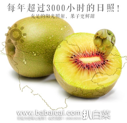 淘宝Taobao：四川 蒲江红心猕猴桃 5斤（中果装） ￥75包邮