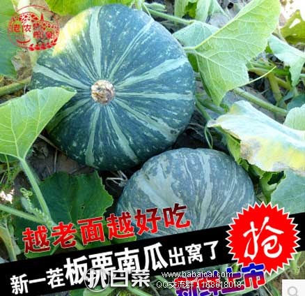 淘宝Taobao：老农印象 高原特产板栗味新鲜南瓜 5斤  现售价￥19.9，领券减￥10，实付￥9.9包邮