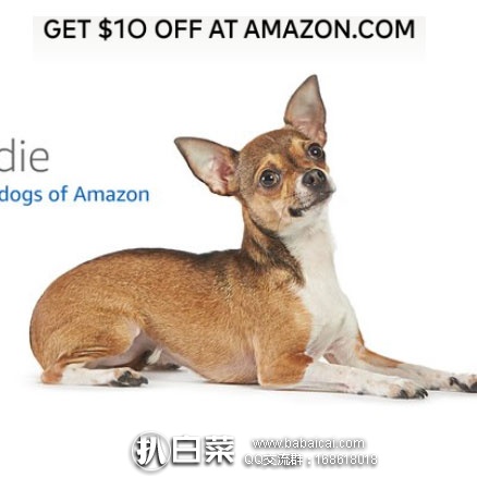 好消息！助力黑五，美国亚马逊绑定Mastercard万事达信用卡，即可白送$10！