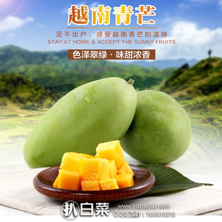 淘宝Taobao：越南进口新鲜玉芒青芒果8斤（单果300~400g，8斤约10~15个） 现价￥39.9，领取￥10元优惠券，实付￥29.9包邮