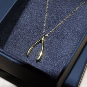 亚马逊海外购：Amazon Collection Wishbone 许愿锁骨项链  降至￥82.93元