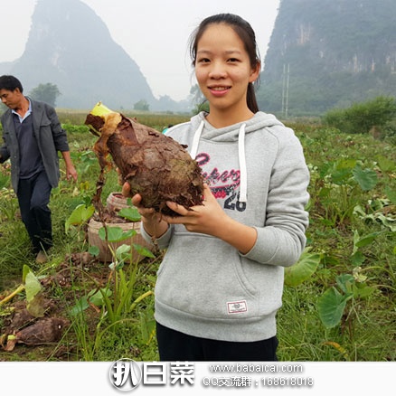 天猫商城:暹罗果园 广西荔浦芋头 5斤 现售价¥34.9,领取¥10元优惠券,实付¥24.9包邮