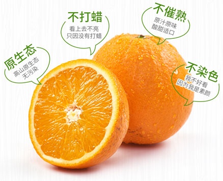 天猫商城:四川新鲜金堂脐橙 5斤装 售价¥23.8包邮