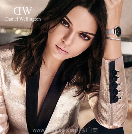 Daniel Wellington 丹尼尔惠灵顿 DW00100161 女士时装手表