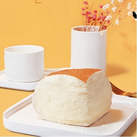 wanghongnailaobao4322