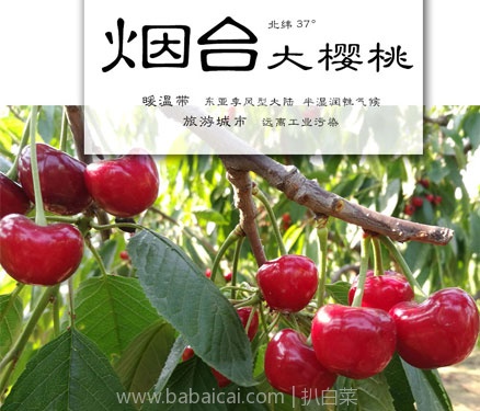 yantaiytzn3ic0an-1s1