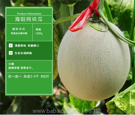 天猫商城:檬想 口口蜜海阳网纹瓜 5斤 现价¥ 59.8,领取¥10优惠券,实付¥49.8包邮