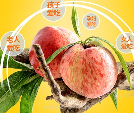 天猫商城:菜源农场 水蜜桃5斤大果 现价¥32.5,领取¥15优惠券,实付新低¥17.5包邮