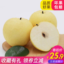 天猫商城：河北新鲜皇冠梨 10斤 （净含量8.5斤） 现价￥37.9，叠加￥15优惠券，券后实付￥22.9包邮