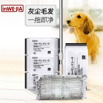 天猫商城：日本 inwejia 静电除尘拖把套装  现价￥39，领￥5优惠券，实付￥34包邮