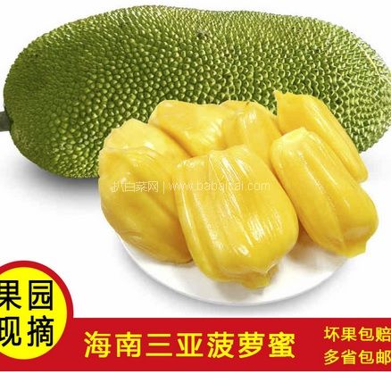 天猫商城：满堂绿 海南新鲜菠萝蜜 18斤整个装 现￥89，领￥10优惠券，实付￥79包邮