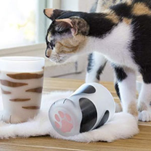 亚马逊海外购：ADERIA 猫爪玻璃杯 300ml 降至￥70.73，凑单免费直邮，含税到手约￥78.65