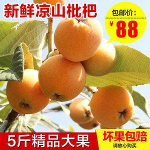 天猫商城：新鲜 早春五星枇杷大果 5斤  现价￥88，叠加30优惠券，券后￥58包邮