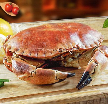 京东商城：Clearwater 北极清水 鲜活面包蟹 800-1000g/只 凑单低至￥66.5元