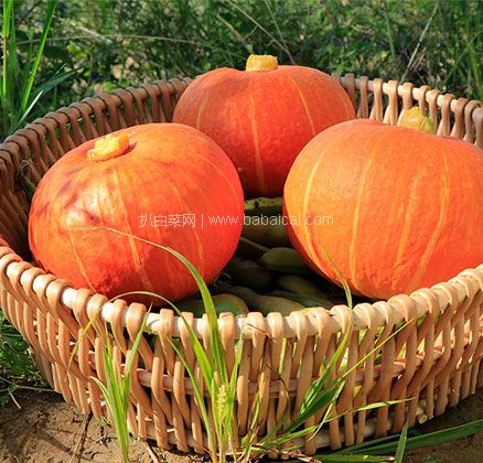 天猫商城：村长宣言 金丝红皮贝贝小南瓜 带箱10斤  现价￥19.8，领￥5优惠券，券后￥14.8包邮