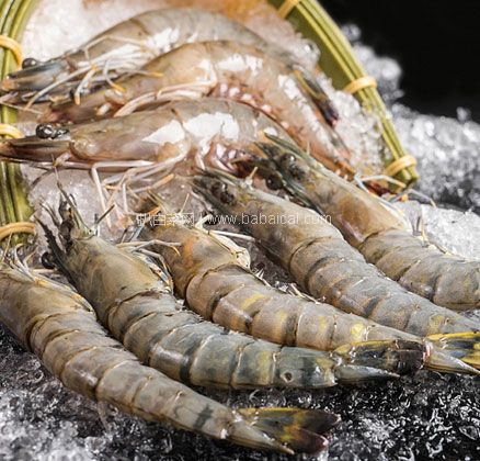 天猫商城：厄瓜多尔进口白虾 1600g  50-60只/千克  现￥98，领￥10优惠券，券后￥88包邮