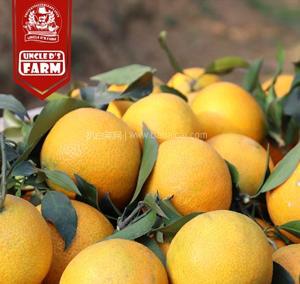 天猫商城：正宗 爱媛38号 果冻橙 5斤  现￥39.98元，领￥20元优惠券，券后￥19.98元包邮