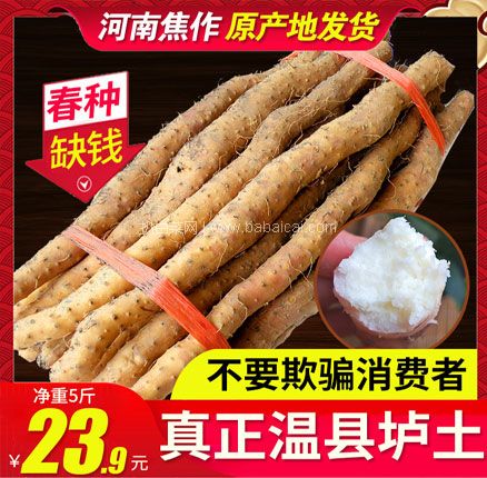 天猫商城：百亩园 焦作温县铁棍山药 5斤  现￥23.9，领￥1优惠券，券后￥22.9包邮