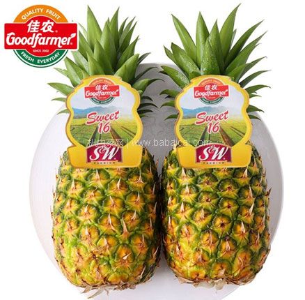 天猫商城:佳农 菲律宾进口无眼金菠萝 2个装(单果1100g~1300g)现¥28.9,领¥2优惠券,券后¥26.9元包邮