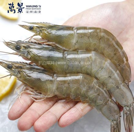 京东商城:万景 北海鲜冻白虾(大号) 100-120只 净重4斤*2件 送盐渍海带苗 200g*2件 ¥109元包邮(¥27.25元/斤)