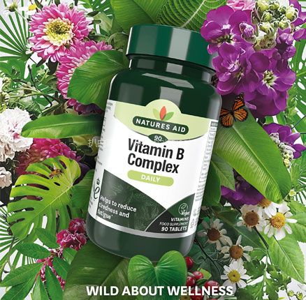 亚马逊海外购:限时0门槛免邮,英国制造 Natures Aid 维生素B族复合片 90片,直邮含税到手¥50.74