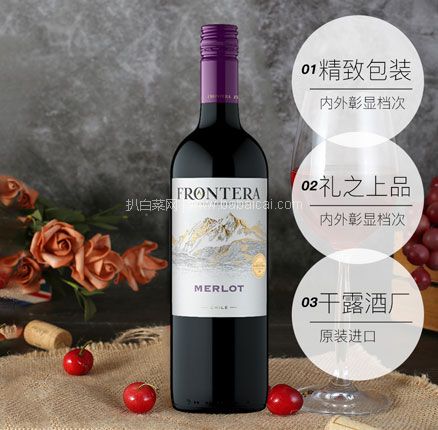智利原瓶进口 干露酒厂 Frontera 缘峰 梅洛干红葡萄酒 750ml  双重优惠新低￥39元包邮