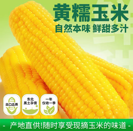 白菜价！吉林农发 北誉甄品 黄糯玉米 240-350g*8棒 带箱5斤+新低￥12.88元包邮