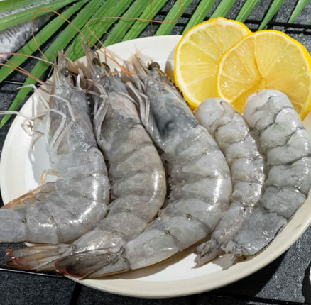 新低入手好价！海洋演义 盐冻新鲜超大虾厄瓜多尔白虾 1650g 券后￥89元包邮