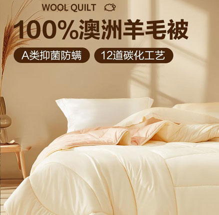 京东商城:水星家纺 百丽丝 A类抗菌防螨100%澳洲羊毛被芯 220cm*240cm(适用1.8米床) 券后¥149元包邮